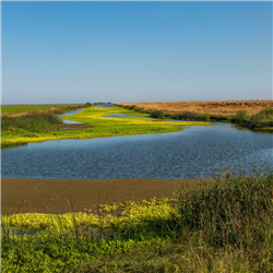 FT25CD5. Groundwater: California’s Hidden Water Supply